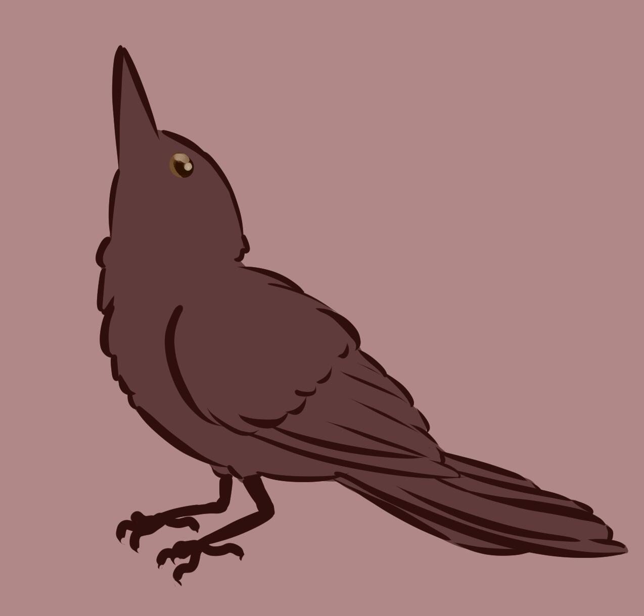 Birb